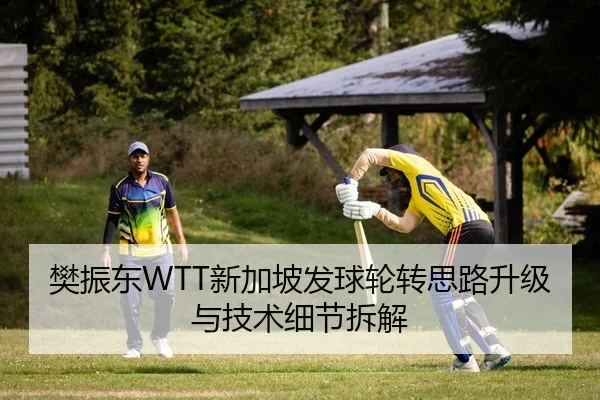 樊振东WTT新加坡发球轮转思路升级与技术细节拆解
